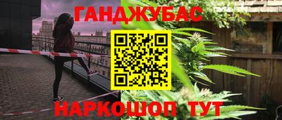 СК Можга