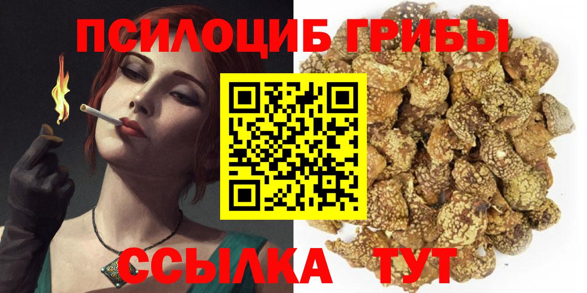 Северобайкальск  Галлюциногенные грибы мицелий  Вход с VPN 