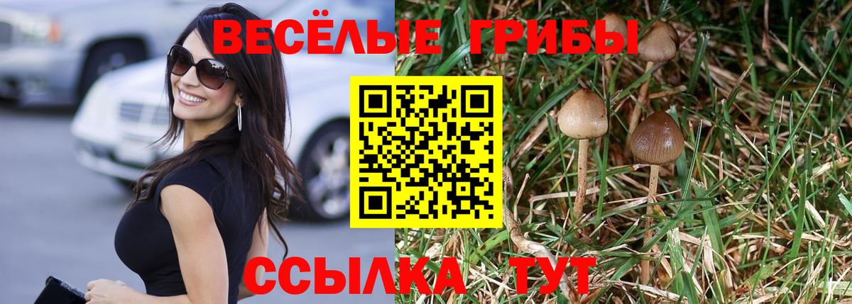 Галлюциногенные грибы ЛСД Северобайкальск